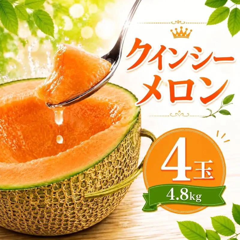 【2027年発送】 クインシーメロン 4玉 約4.8kg 赤肉メロン