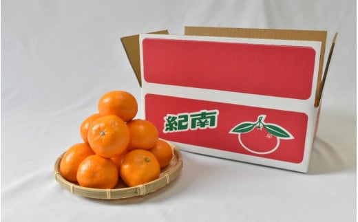【2026年分先行予約】大坊の温州みかん 3kg（Mサイズ） ※2026年11月中旬～12月下旬頃に順次発送予定【期間限定・数量限定】 / みかん 蜜柑 3キロ お取り寄せ 産地直送 贈答品 ギフト 