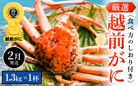 越前がに本場の越前町からお届け！越前がに浜茹で 特大サイズ（生で1.3kg以上）×1杯【2月発送】 [e14-x010_02] 越前町 雄 ズワイガニ ボイル 冷蔵 越前がに 越前ガニ 越前かに 越前カニ