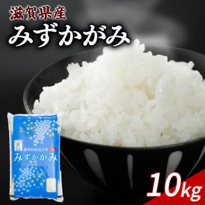 ふるさと納税 彦根市 令和7年産 みずかがみ 10kg 【滋賀でとれたお米、近江米!】