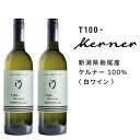 【ふるさと納税】栃尾ワインT100ケルナー　750ml　2本セット | お酒 さけ 人気 おすすめ 送料無料 ギフト