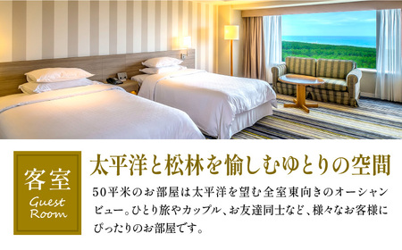 《2027年2月発券》【1泊お食事なし】ペア宿泊券　スタンダードツイン(50平方メートル) 宿泊 家族 カップル