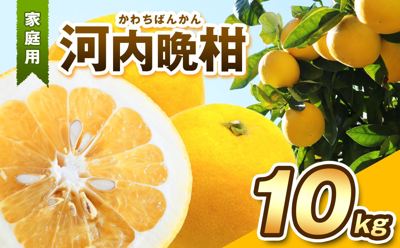 
【 家庭用 】 河内晩柑 10kg | くだもの 果物 フルーツ みかん 柑橘 柑橘類 晩柑 甘蜜 和製 グレープフルーツ デザート 熊本県 玉名市 家庭用 農家直送 大中小混合 ビタミン
