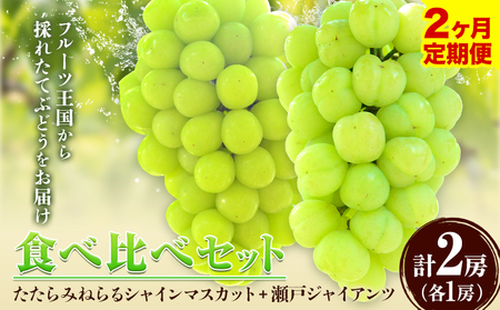 【2回定期便】たたらみねらる 食べ比べセット 約1.3kg ｼｬｲﾝﾏｽｶｯﾄ ぶどう