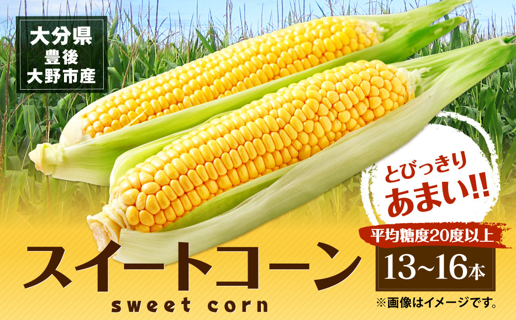 スイートコーン 約6kg前後 ( 13本～16本 ) とうもろこし