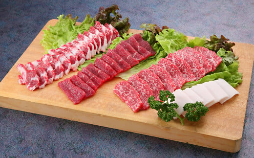 馬刺し 7種盛り 合計670g 大トロ トロ身 ロ－ス 中落ち 上赤身 ユッケ たてがみ 馬肉 肉 醤油つき