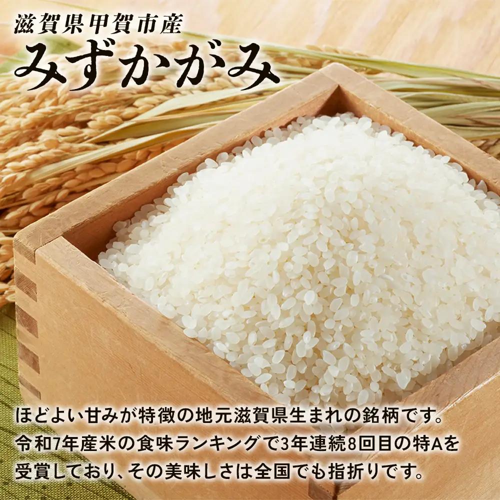 【6ヶ月定期便】【令和7年産】近江米みずかがみ白米5kg (173433-40038265)