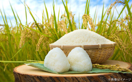 【全3回定期便】たたら焔米 雲南市プレミアムつや姫 8kg(2kg×4袋)  2025年産 新米 [AIBR007]