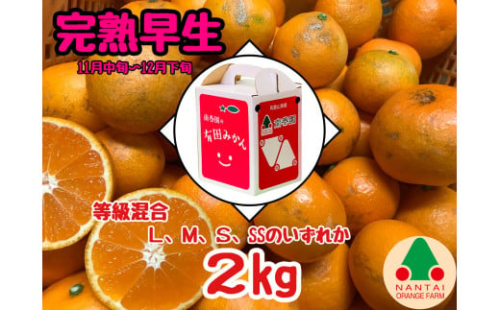 等級混合 完熟早生 有田 みかん L ～ SS サイズ 2kg 南泰園 和歌山 有田みかん