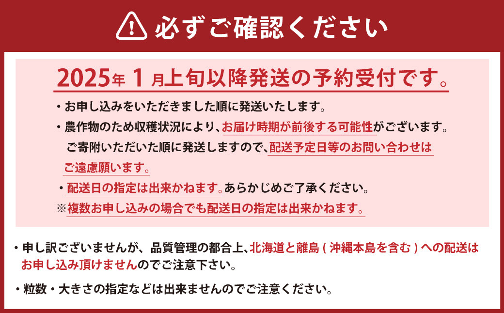 ギフト配送 福岡県産あまおう EX 約450g×2パック 〈特別栽培〉 【2025年1月上旬～3月下旬発送予定】