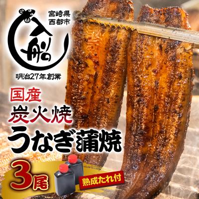ふるさと納税 西都市 炭火焼一筋「うなぎの入船」かば焼3尾(熟成たれ付)国産うなぎ[1236]