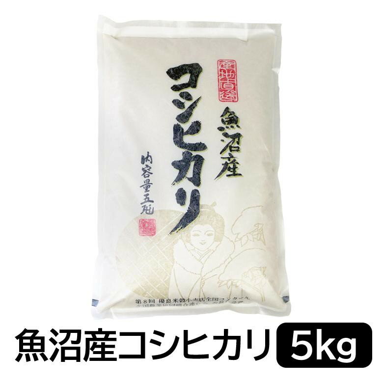 【ふるさと納税】【令和7年産】お米マイスター厳選！魚沼産コシヒカリ　5kg | お米 こめ 白米 食品 人気 おすすめ 送料無料
