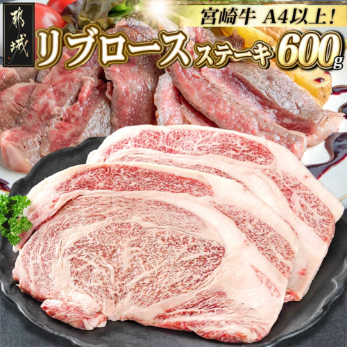 宮崎牛リブロースステーキ300g×2枚_17-2502