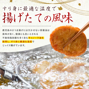 さつま揚げ専門店 小田口屋 厳選さつま揚げ 肴づくし 全11種27個入 岡村商店 IB024-006 さつま揚げ さつま揚げ 