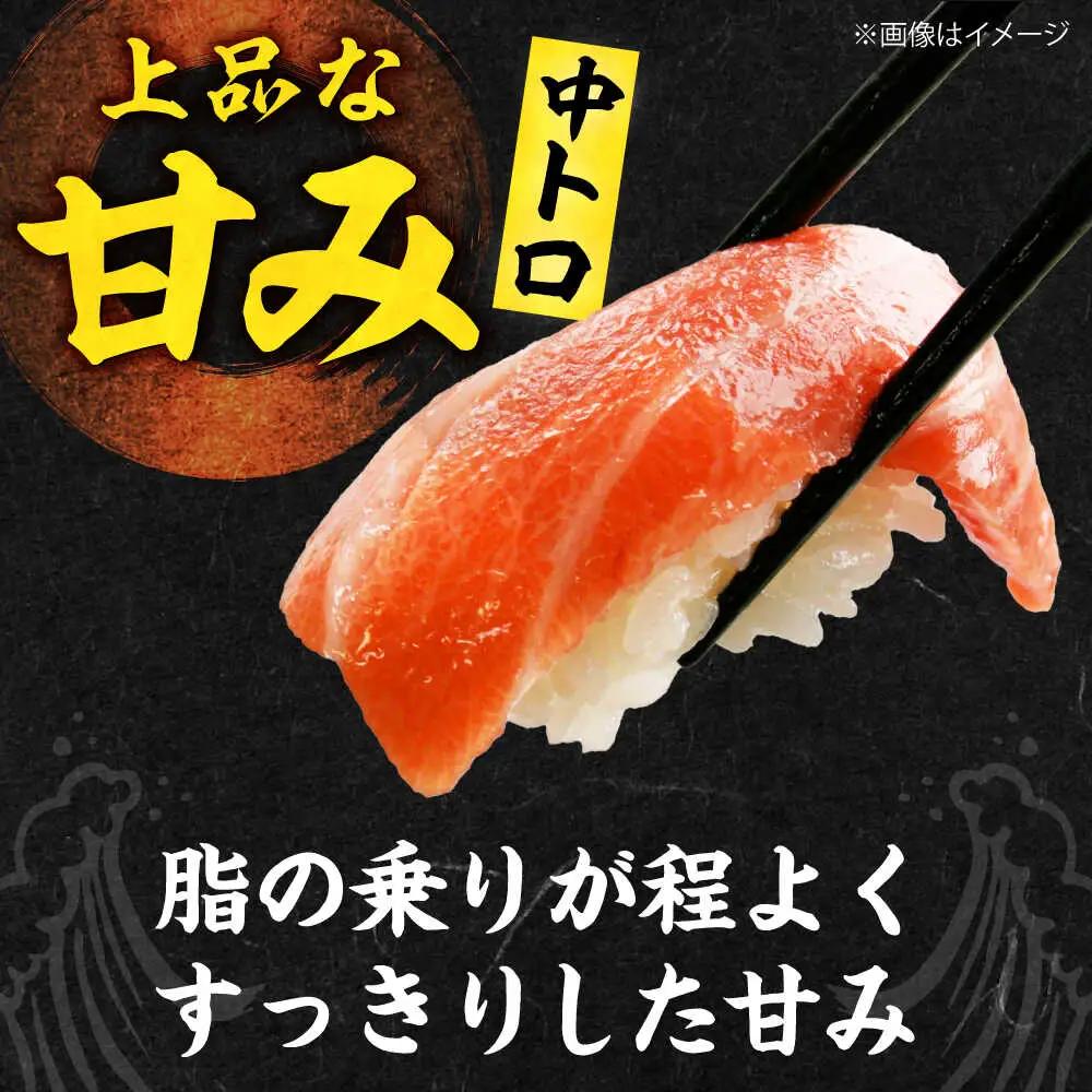 【全6回定期便】たね熟天然本まぐろ赤身＆中トロセット(320g 各160g)[AOCE041]マグロ