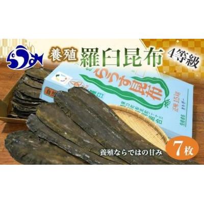 ふるさと納税 羅臼町 養殖4等 羅臼昆布7枚セット(350g~500g)【北海道 知床 羅臼産】