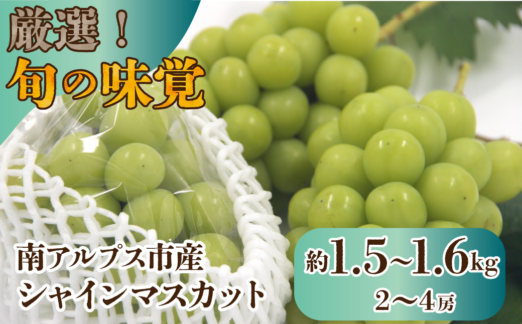 
            【25年発送先行予約】厳選！南アルプス市産　シャインマスカット　約1.5kg～1.6kg（2～4房） ALPDD010
          