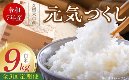 【定期便3回】【令和7年産 新米】福岡県産ブランド米元気つくし 白米 9kg×3回 _Tk079