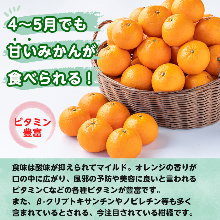 i585 ＜2026年3月下旬～6月中旬の間に発送予定＞農6みかん(約5kg) 果物 フルーツ 柑橘 国産 鹿児島県産 みかん 蜜柑 【江崎果樹園】