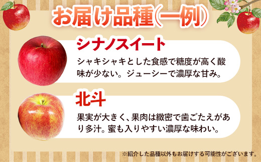 【訳あり】岩手町産りんご詰め合わせ約5kg 令和7年産 訳アリ 家庭用 規格外 不揃い りんご リンゴ サンふじ シナノゴールド シナノスイート 北斗 5kg フルーツ 果物 くだもの アップル 甘み
