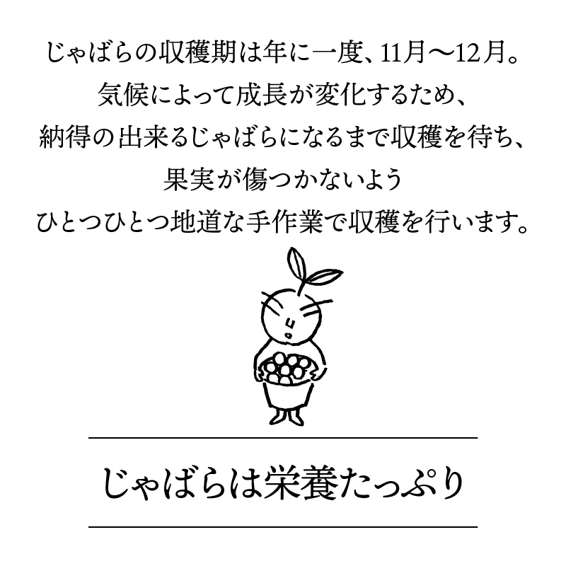 【期間限定】じゃばら果実（3キロ）【予約受付/11月下旬より順次発送】【njb182】