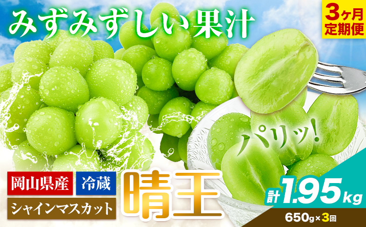 ぶどう 3ヶ月 定期便 [2025年先行予約] シャインマスカット 晴王 約650g 岡山県産《9月上旬-11月末頃出荷(土日祝除く)》 ハレノフルーツ マスカット 送料無料 岡山県 浅口市 フルーツ 果物 贈り物 ギフト 国産 岡山県産 くだもの【配送不可地域あり】（北海道・沖縄・離島）