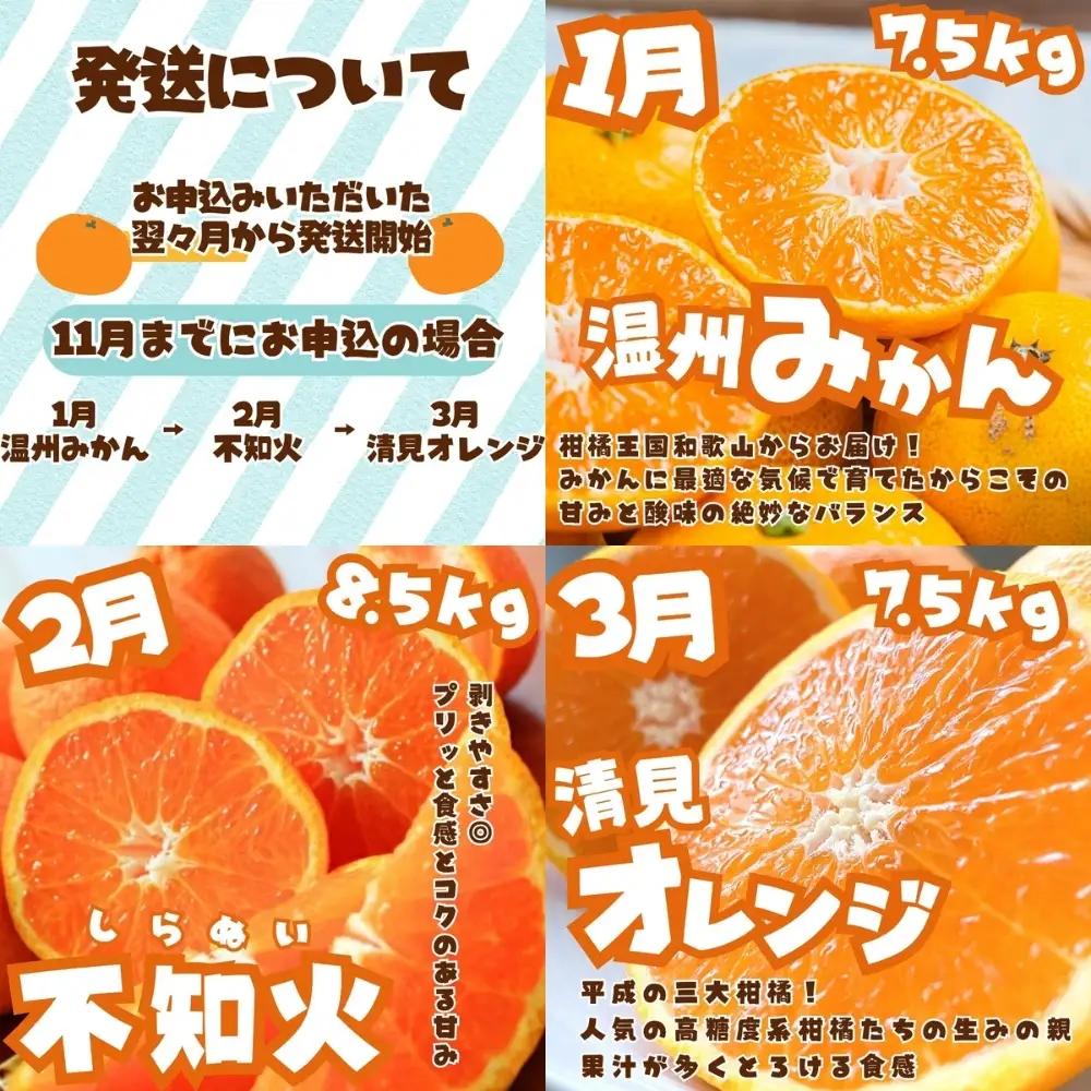 定期便【全3回/1・2・3月】みかん 定期便 訳あり×たっぷり 温州みかん 不知火 清見オレンジ【tkb113】