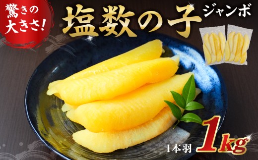 塩数の子ジャンボ　1本羽　1kg　小分け(500g×2袋） mi0012-0070 【数の子 ニシン ジャンボサイズ 海産物 魚卵 レシピ同封 お正月 おせち料理】