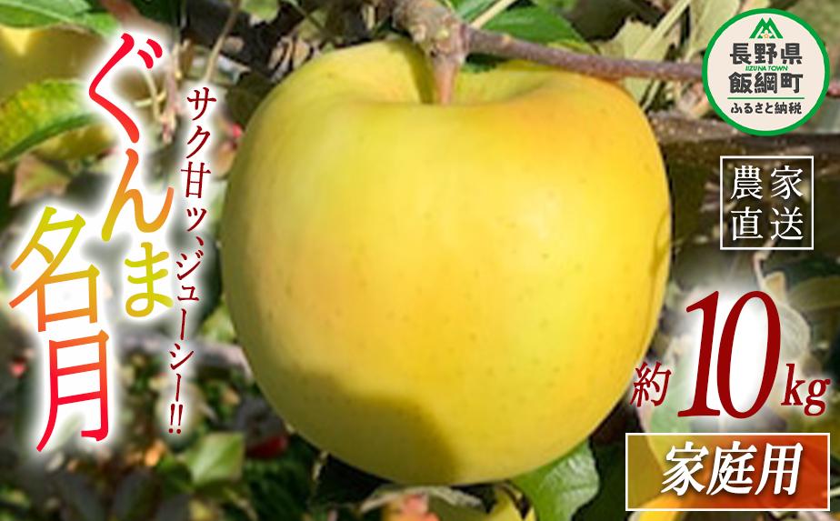 
            りんご ぐんま名月 家庭用 10kg ファームトヤ 2025年11月中旬頃から2025年12月下旬頃まで順次発送予定 令和7年度収穫分 信州 果物 フルーツ リンゴ 林檎 名月 長野 25000円 予約 農家直送  長野県 飯綱町 [1425]
          