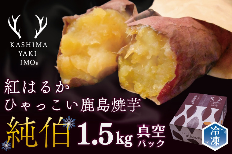 
ひゃっこい鹿島焼芋　純伯　1.5kg 【焼き芋 やきいも さつまいも 芋 お菓子 おやつ デザート スイーツ 和菓子 和スイーツ 鹿嶋市 茨城県】　(KBK-23)
