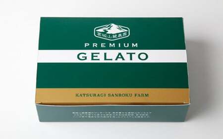 （冷凍） ベジタブル ジェラート 12個入り ／ 葛城山麓農園 アイス フルーツ 野菜 大和いも 抹茶 特産品 奈良県 御所市【ktrg0002】