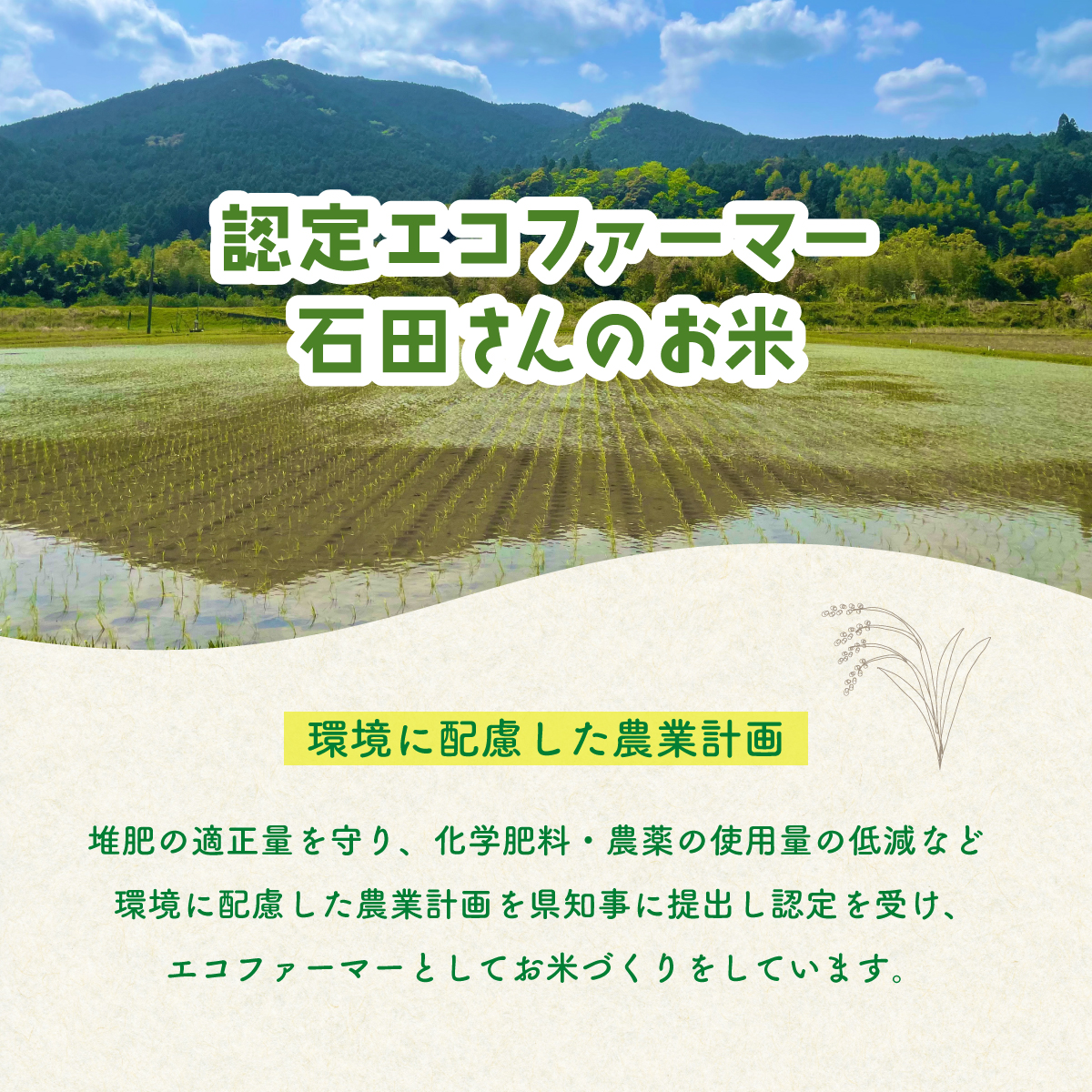 認定エコファーマー栽培！　海部清流米コシヒカリ５kg