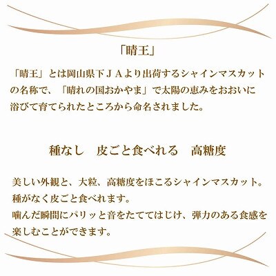【2025年8月発送】岡山県産　シャインマスカット　晴王　500g×2房【配送不可地域：離島・北海道・沖縄県】【1366090】