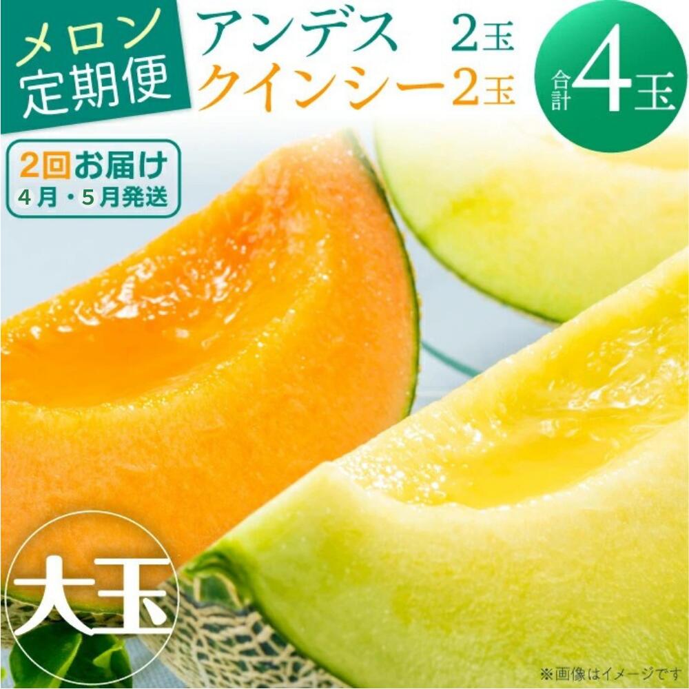 【ふるさと納税】 メロン 生産量日本一 【定期便】＼赤肉青肉食べ比べ！／ メロン 大玉 2ヶ月定期便（4玉）先行予約｜ めろん 定期便 青肉 赤肉 フルーツ 山一ファーム 高級 メロン 金賞 受賞 茨城 鉾田 いばらき アンデス メロン クインシー メロン
