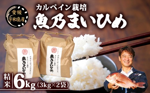 令和7年産 コシヒカリ 魚乃まいひめ カルペイン栽培 6kg (3kg×2袋) 精米 秀長水産 三間米 お米 米 環境保全 カルペイン 鯛 真鯛 こめ コメ kome 小分け お弁当 弁当 ツヤツヤ 美味しい 産地直送 数量限定 国産 愛媛 宇和島 G018-016010