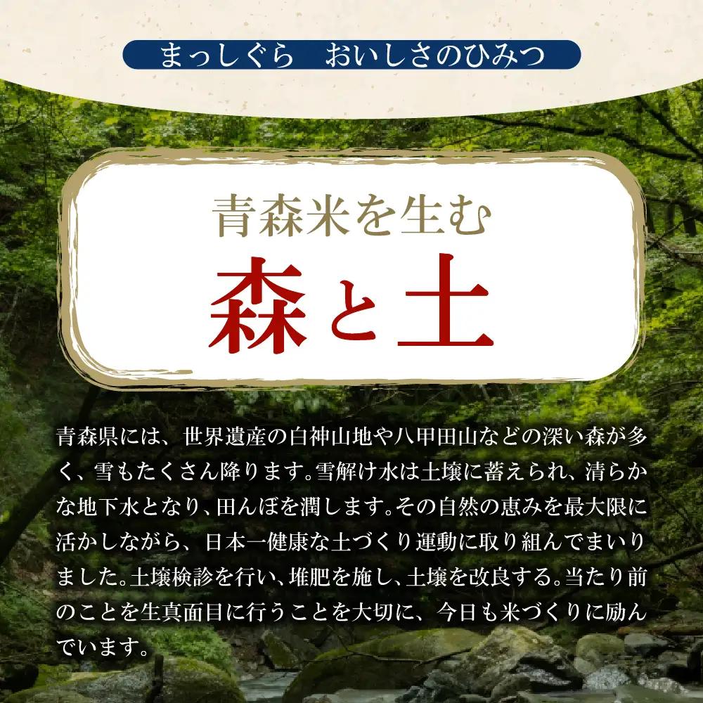 米 10㎏ まっしぐら 令和7年産 青森県産 米 （精米・5kg×2）