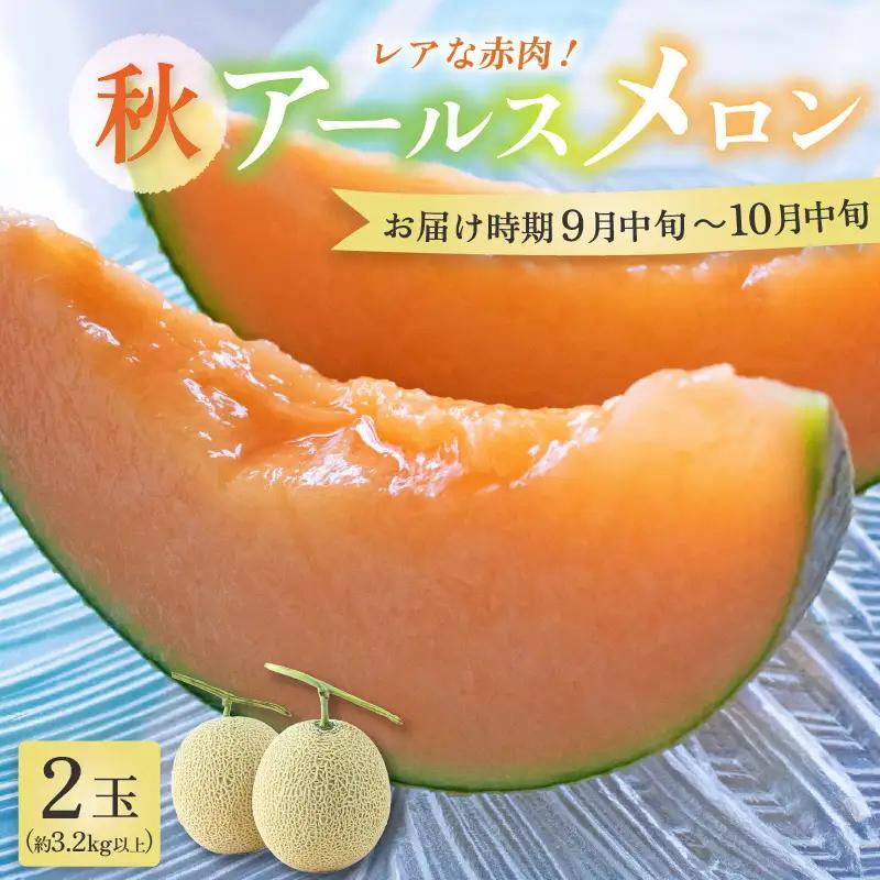 【先行予約】【赤肉】秋 アールスメロン 2玉（計約3.2kg以上）赤肉品種 高級メロン！ ／ マスクメロン 大玉 果物 フルーツ 夏 ギフト 農家直送  ※2026年9月中旬以降発送  [aw065-a011]