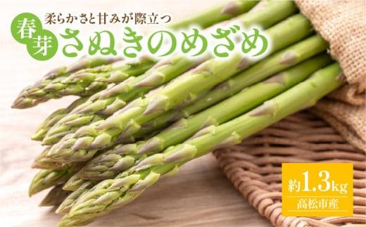 柔らかさと甘みが際立つアスパラガス「さぬきのめざめ(春芽) 約1.3kg【2025-1月下旬～2025-3月下旬配送】