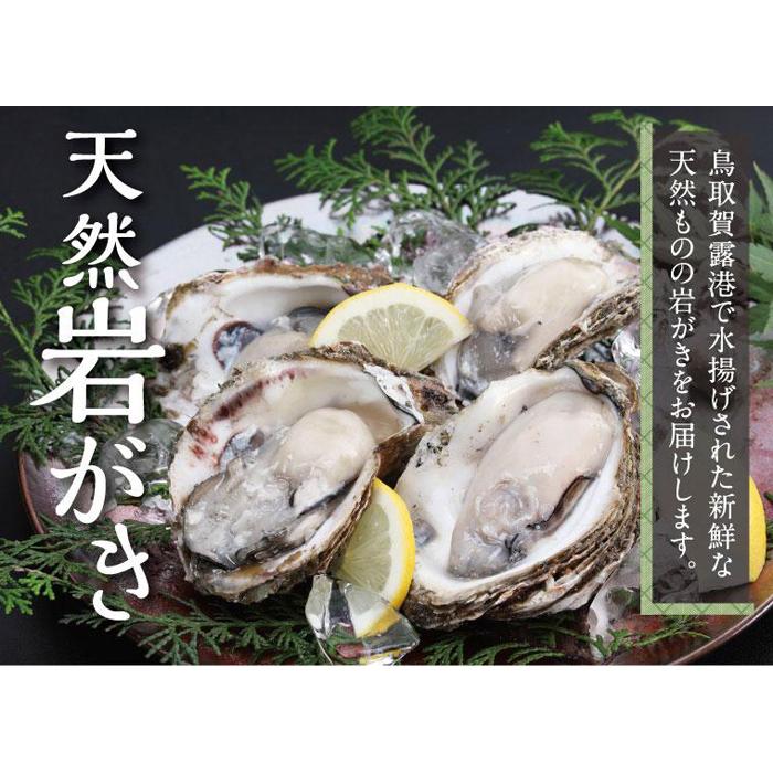 【ふるさと納税】0071 鳥取賀露港 天然岩がきセット (かねまさ・浜下商店)　 期間限定　牡蠣　カキ