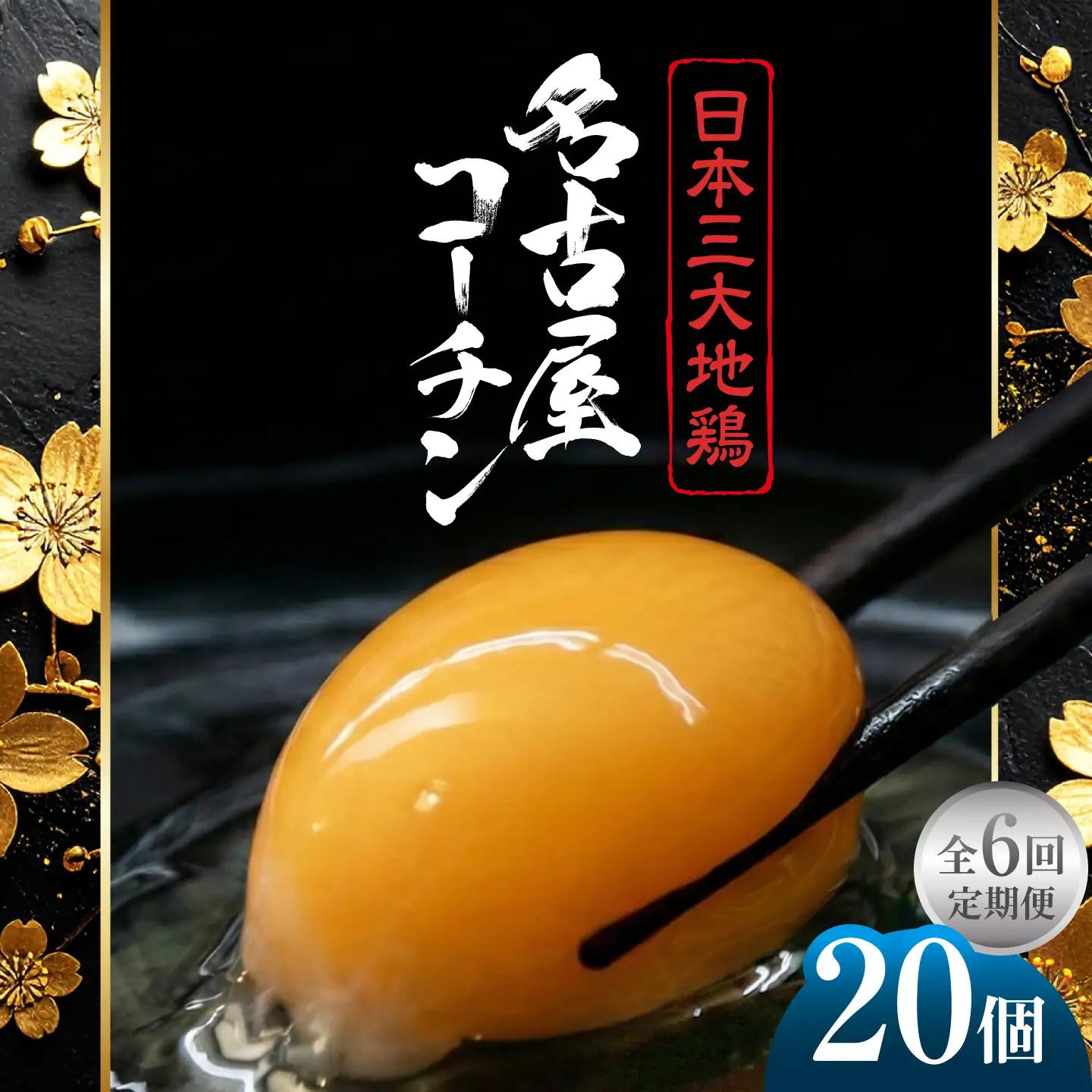 【定期便6回】名古屋コーチン 卵 毎月20個（18個＋割れ保証2個）×6ヶ月 / 卵 たまご 定期便 高級卵 / 稲沢市 / 櫛田養鶏場[BMAY014]