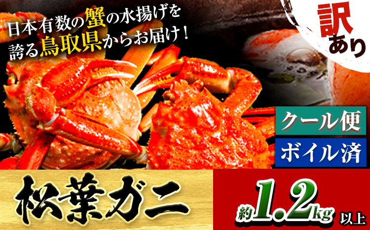 訳あり カニ 松葉ガニ 足1本なし 1.2kg 2杯分《2024年11月上旬-2025年3月中旬頃出荷》鳥取県 八頭町 送料無料 蟹 かに 姿 鍋 ズワイガニ 松葉ガニ ズワイ蟹 ボイル 冷蔵便 松葉蟹 海鮮 魚介【配送不可地域あり】