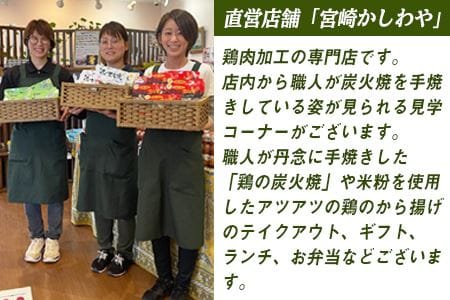 ＜半身からあげ5本セット(塩味×3本 スパイス味×2本)＞翌月末迄に順次出荷【 鶏肉 唐揚げ おつまみ 米粉 クリスマス 食べ比べ 】【a0032_hi】