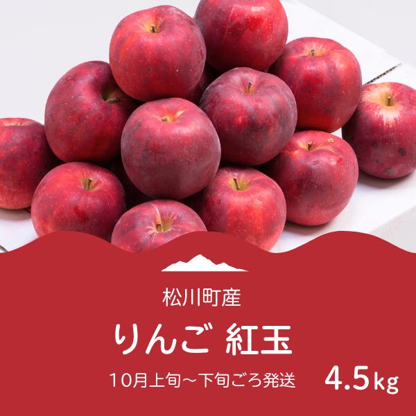 【ふるさと納税】りんご 紅玉（松川町産）秀品 約4.5キロ／2025年10月上旬～下旬頃 配送予定 // 長野県 南信州 松川町 りんご リンゴ 林檎 紅玉 贈答 AS05