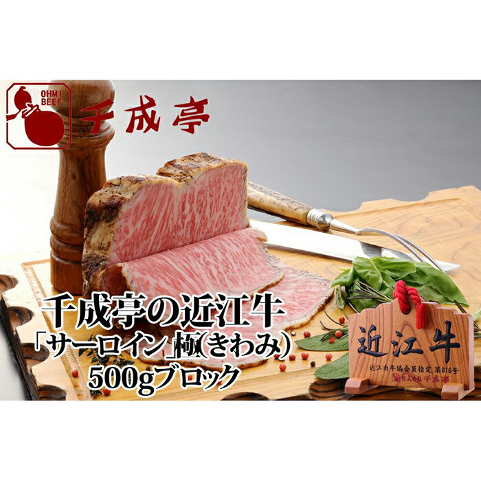 【ふるさと納税】 千成亭 近江牛 ローストビーフ サーロイン 極 きわみ 500g ブロック ソース ブロック肉 肉 牛肉 国産 冷凍 近江牛 黒毛和牛 送料無料 ブランド牛 日本三大和牛 近江牛 国産牛 クリスマス お歳暮 ギフト プレゼント 母の日 父の日 おすすめ 人気 彦根 滋賀