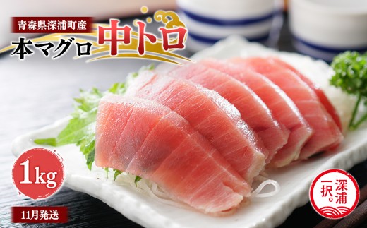 
                  青森県深浦町産 天然本マグロ 中トロ 1kg 200g×5 冷凍柵 深浦マグロ 刺身 海鮮 鮪 まぐろ【fu-0015-017_11】
                