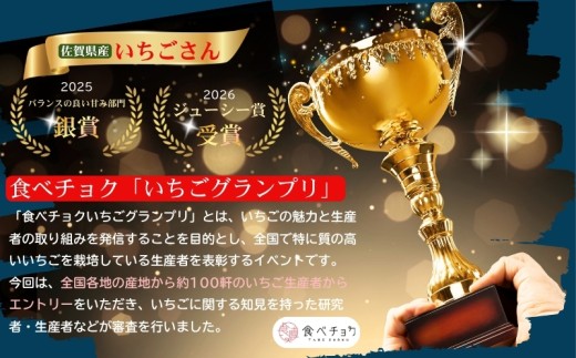 【先行受付！2027年2月から発送開始】事業者お任せ！紅白いちご食べ比べ定期便　全3回（2月〜4月）：B400-025