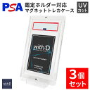 【ふるさと納税】ネオジムマグネットtype PSAver 3個セット [C-12601]