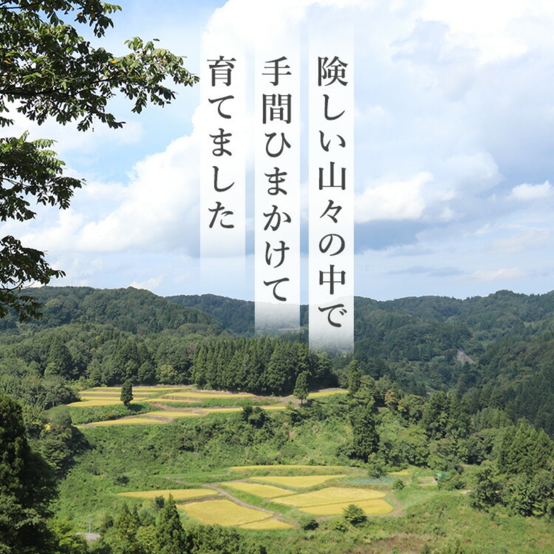【令和7年産 定期便】【毎月お届け】わかとち産 魚沼コシヒカリ 特別栽培 棚田米 5kg×6回 白米 精米  新潟県産 コシヒカリ