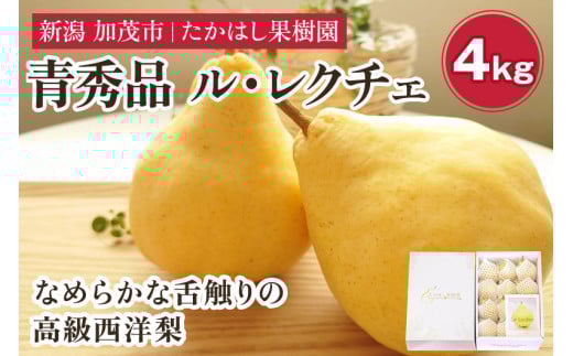 【2025年先行予約】 たかはし果樹園 謹製 新潟特産 幻の洋梨ル・レクチェ 青秀品 約4kg 《11月下旬以降配送》 果物 フルーツギフト 冬の味覚 産地直送加茂市 たかはし果樹園
