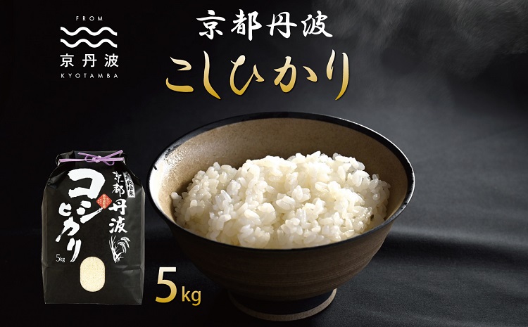 京丹波こしひかり 5kg 令和6年産 新米 京都 米 精米 コシヒカリ ※北海道・沖縄・その他離島は配送不可